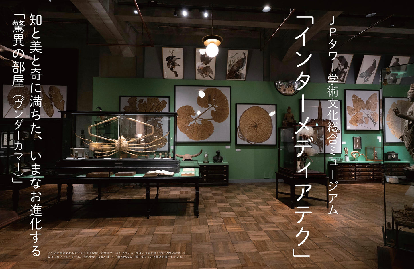 〈デジタル〉目の眼 電子増刊第10号｜大学博物館　知の宝庫をめぐる［ 東京編］