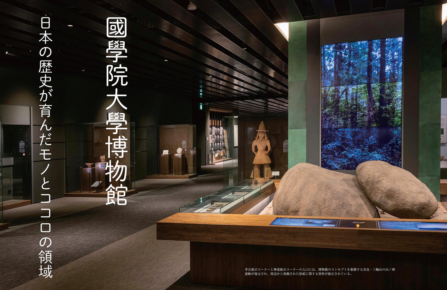 〈デジタル〉目の眼 電子増刊第10号｜大学博物館　知の宝庫をめぐる［ 東京編］