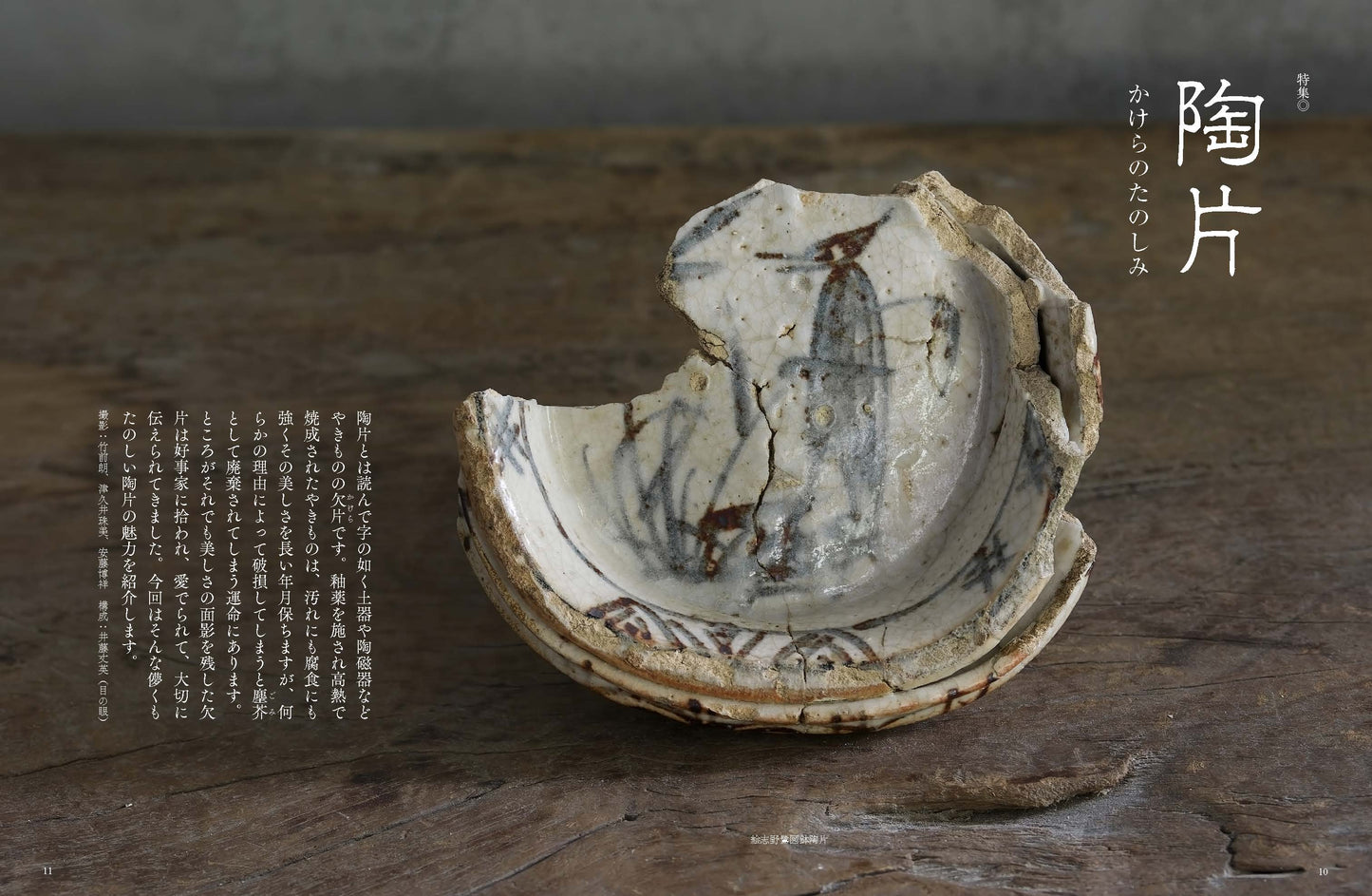 〈デジタル〉目の眼 電子増刊第5号｜陶片 かけらのたのしみ
